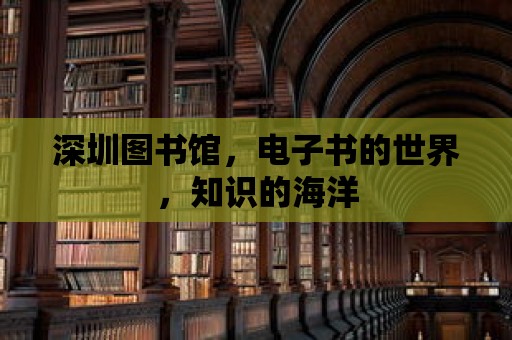 深圳圖書館，電子書的世界，知識的海洋