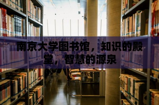 南京大學圖書館，知識的殿堂，智慧的源泉