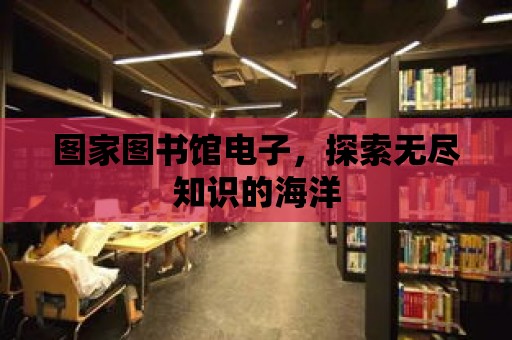 圖家圖書館電子，探索無盡知識的海洋