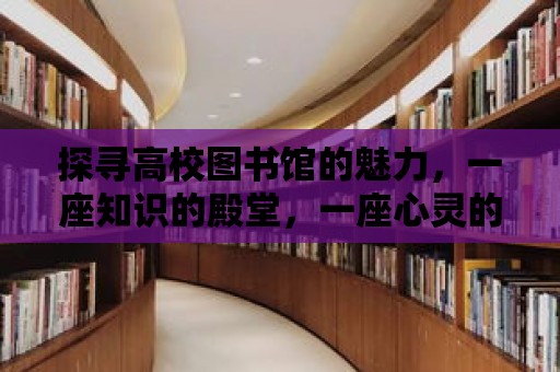 探尋高校圖書館的魅力，一座知識的殿堂，一座心靈的港灣