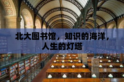 北大圖書館，知識的海洋，人生的燈塔