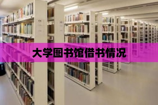 大學圖書館借書情況