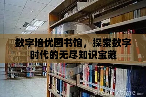 數字培優圖書館，探索數字時代的無盡知識寶藏