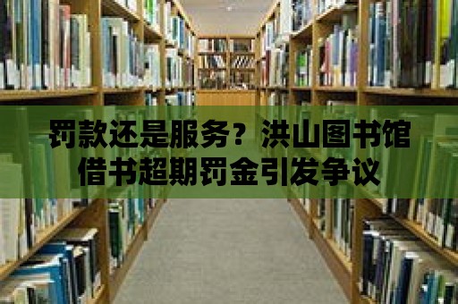 罰款還是服務？洪山圖書館借書超期罰金引發爭議