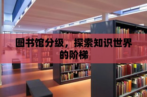 圖書館分級，探索知識世界的階梯