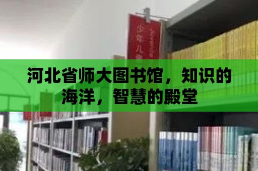 河北省師大圖書館，知識的海洋，智慧的殿堂