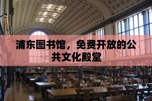 浦東圖書館，免費開放的公共文化殿堂