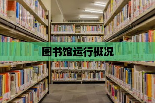 圖書館運行概況