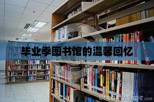 畢業(yè)季圖書館的溫馨回憶