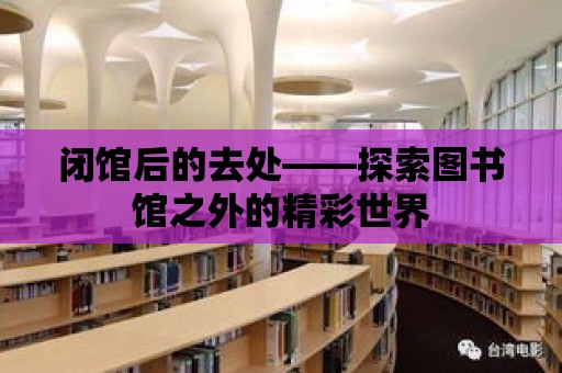 閉館后的去處——探索圖書館之外的精彩世界