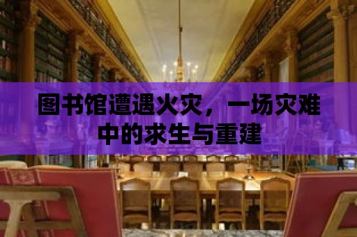 圖書館遭遇火災，一場災難中的求生與重建