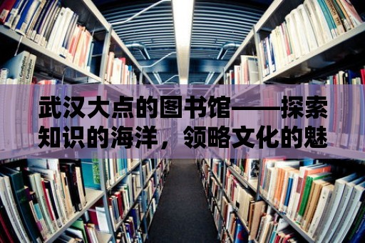 武漢大點的圖書館——探索知識的海洋，領略文化的魅力