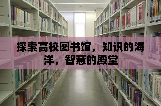 探索高校圖書館，知識的海洋，智慧的殿堂