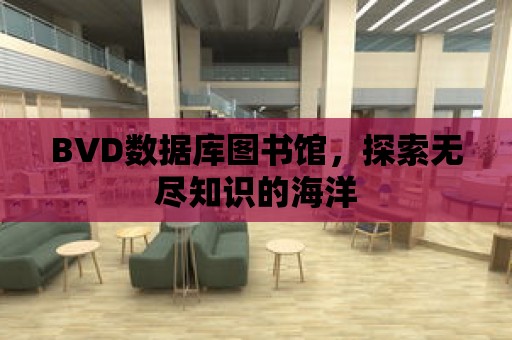 BVD數據庫圖書館，探索無盡知識的海洋