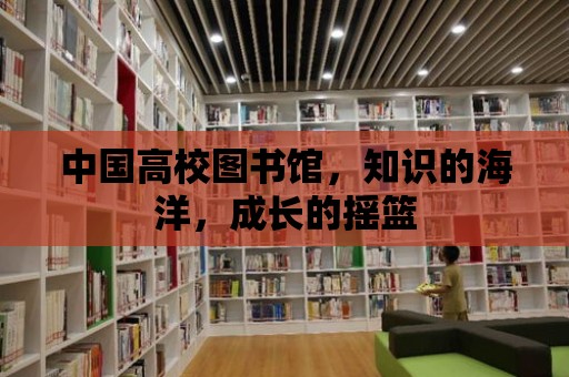 中國高校圖書館，知識的海洋，成長的搖籃