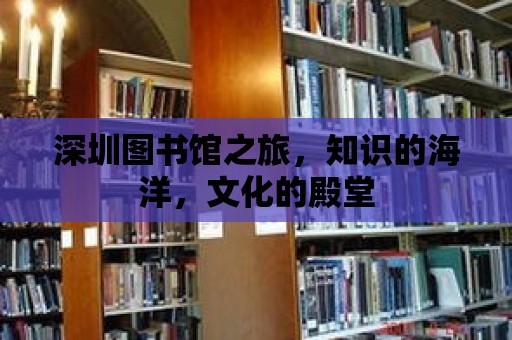 深圳圖書館之旅，知識的海洋，文化的殿堂