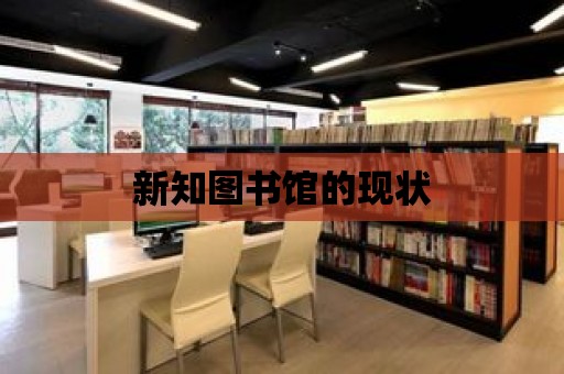 新知圖書館的現狀