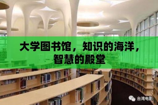 大學圖書館，知識的海洋，智慧的殿堂