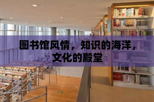 圖書館風情，知識的海洋，文化的殿堂