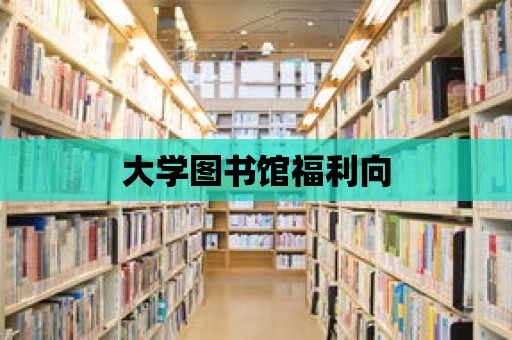 大學(xué)圖書館福利向