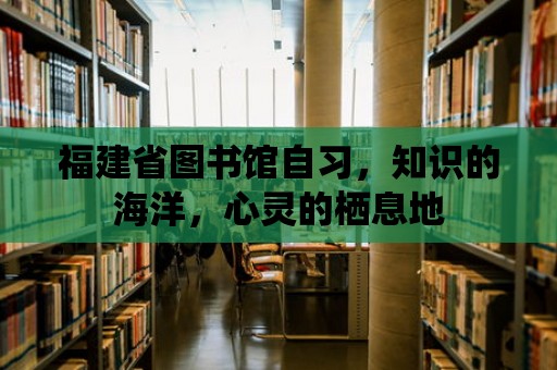 福建省圖書館自習，知識的海洋，心靈的棲息地