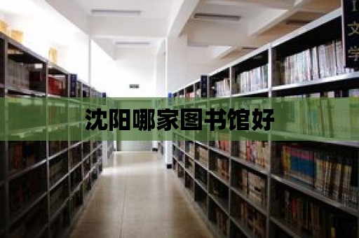 沈陽哪家圖書館好