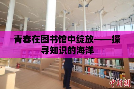 青春在圖書館中綻放——探尋知識的海洋