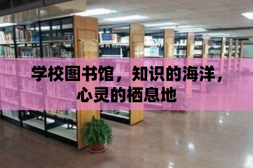 學校圖書館，知識的海洋，心靈的棲息地