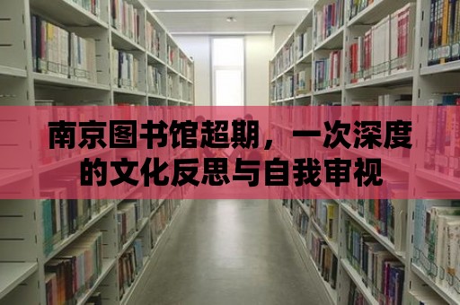 南京圖書館超期，一次深度的文化反思與自我審視