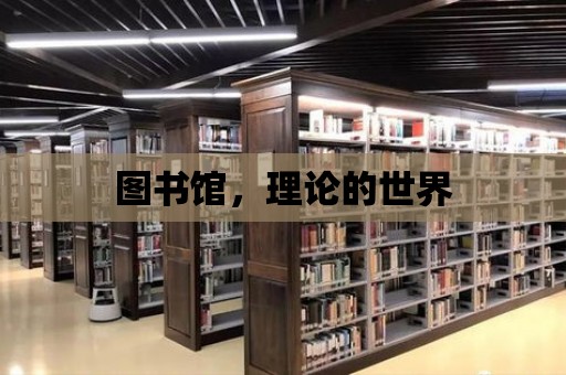 圖書館，理論的世界