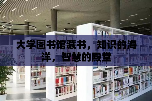 大學圖書館藏書，知識的海洋，智慧的殿堂