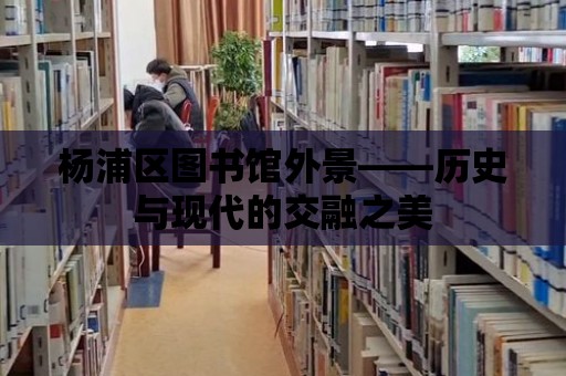 楊浦區(qū)圖書館外景——歷史與現代的交融之美