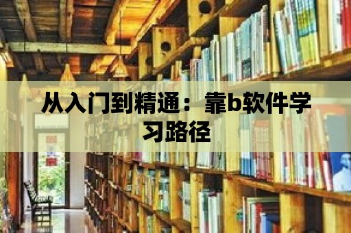 從入門到精通：靠b軟件學習路徑