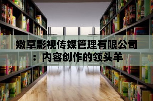 嫩草影視傳媒管理有限公司：內容創作的領頭羊