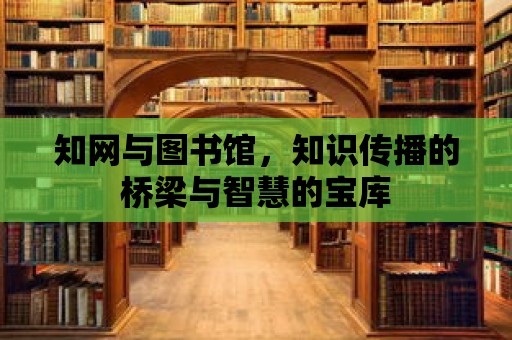 知網與圖書館，知識傳播的橋梁與智慧的寶庫