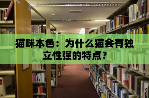 貓咪本色：為什么貓會有獨立性強的特點？