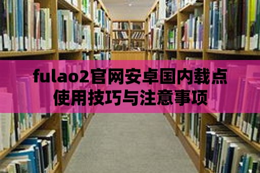 fulao2官網安卓國內載點使用技巧與注意事項