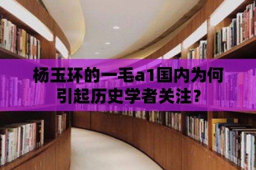 楊玉環的一毛a1國內為何引起歷史學者關注？