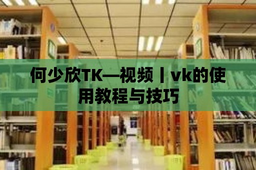 何少欣TK—視頻丨vk的使用教程與技巧