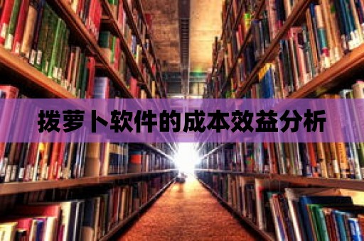 撥蘿卜軟件的成本效益分析