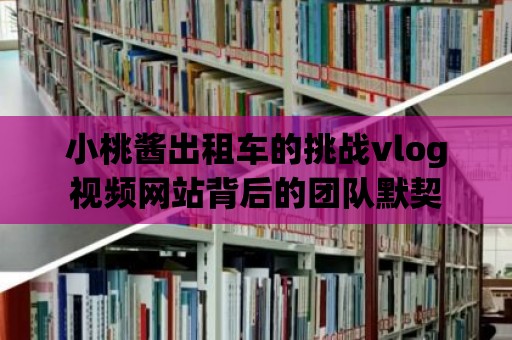 小桃醬出租車(chē)的挑戰(zhàn)vlog視頻網(wǎng)站背后的團(tuán)隊(duì)默契