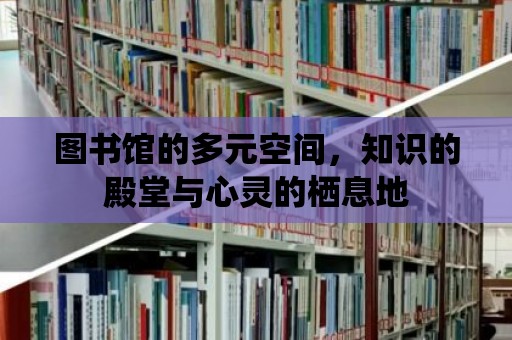 圖書館的多元空間，知識(shí)的殿堂與心靈的棲息地