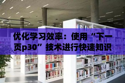 優化學習效率：使用“下一頁p30”技術進行快速知識獲取