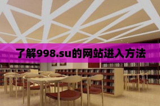 了解998.su的網站進入方法