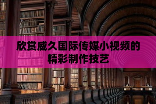 欣賞威久國際傳媒小視頻的精彩制作技藝