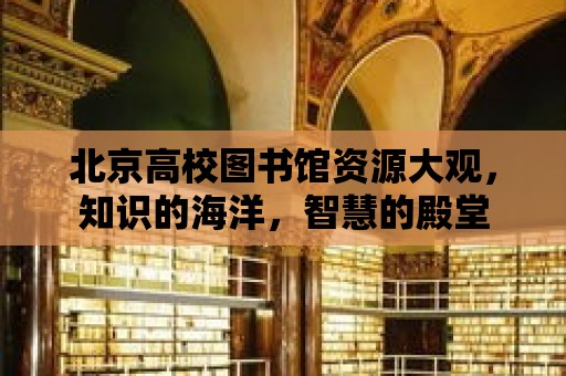 北京高校圖書館資源大觀，知識的海洋，智慧的殿堂