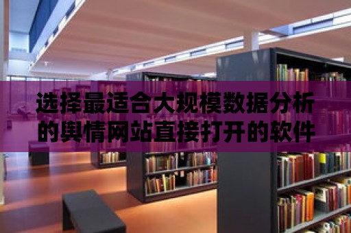 選擇最適合大規模數據分析的輿情網站直接打開的軟件