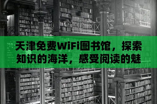 天津免費WiFi圖書館，探索知識的海洋，感受閱讀的魅力