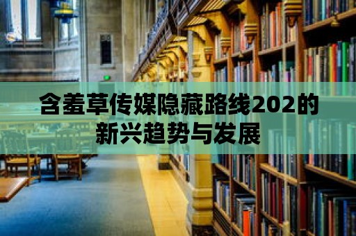 含羞草傳媒隱藏路線202的新興趨勢與發(fā)展