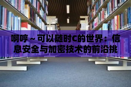 啊哼～可以隨時(shí)C的世界：信息安全與加密技術(shù)的前沿挑戰(zhàn)